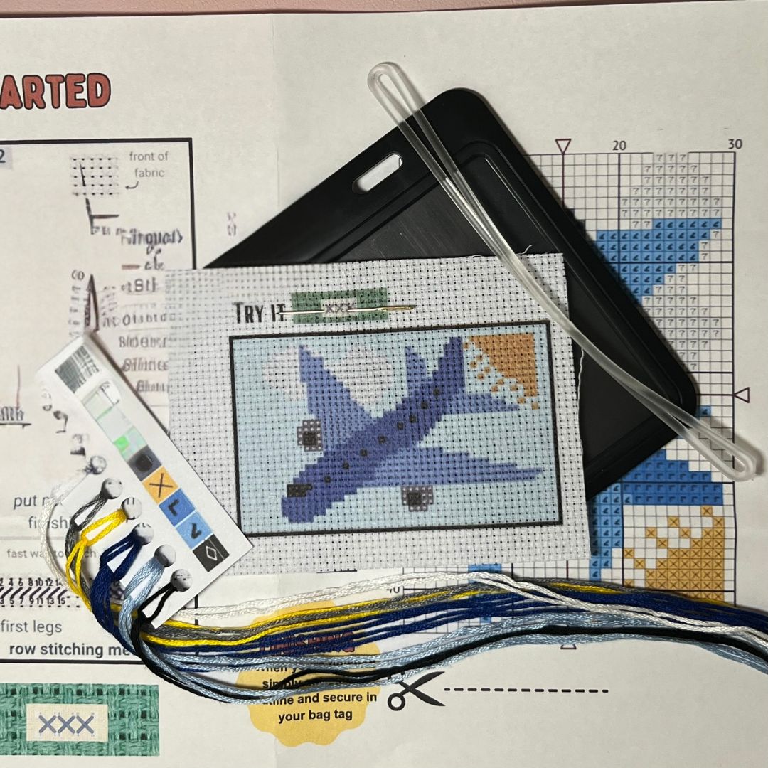 Blue Airplane Cross Stitch Kit